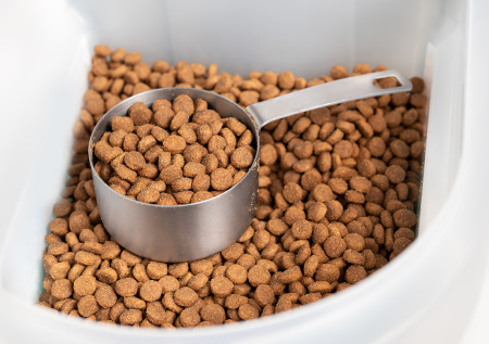 Владельцев животных предупредили о росте цен на корма в 2026 году