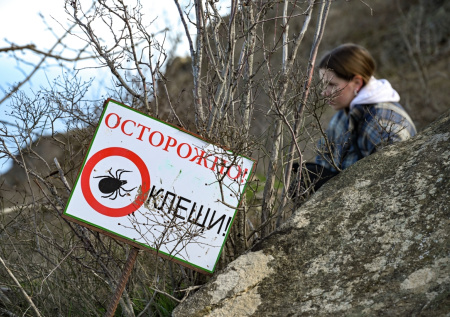 Жителям Подмосковья назвали районы с самым большим количеством клещей