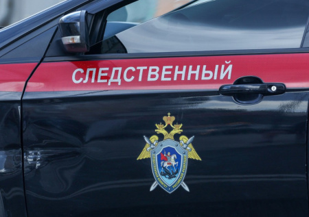 По делу о разбое на Строгинском бульваре в Москве задержаны два курьера