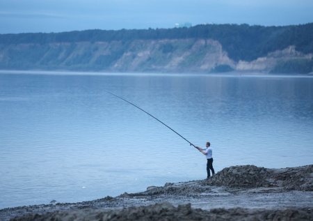 Стало известно о предложении «амнистировать» пойманную браконьерами рыбу
