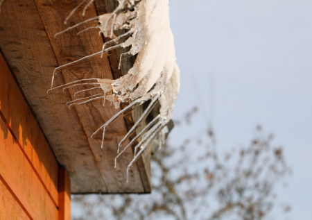 Глыба льда едва не убила бабушку и котов в российском городе