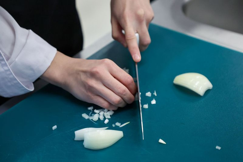 Гуманитарные специальности в колледжах