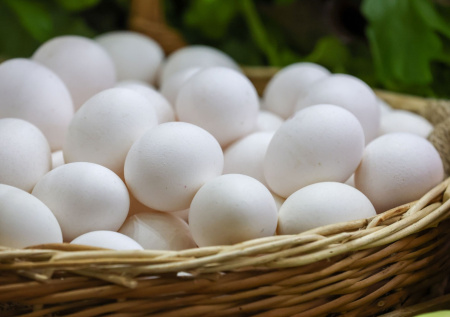 Пасха в Германии оказалась под угрозой срыва