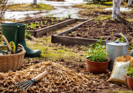 В эти даты все взойдет стремительно: названы лучшие дни в апреле для работы в огороде и в саду