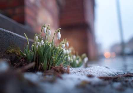 Какое наказание грозит за грядки под окнами многоэтажек