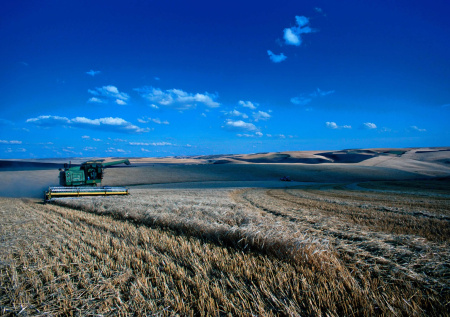 Узбекистан и США обсудили отправку работников на американские фермы