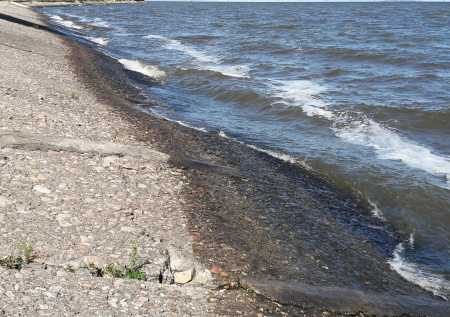 Волонтеры начали поиски пропавших в Ульяновске подростков