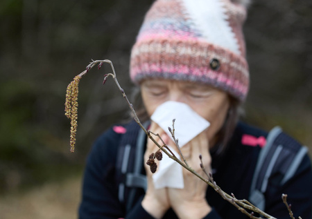 Сезон пыльцы и аллергии в Москве-2026: календарь цветения для аллергиков