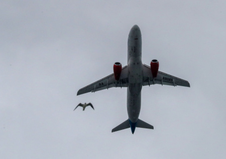 Ограничения в Ленобласти повлияли на полеты в Калининград
