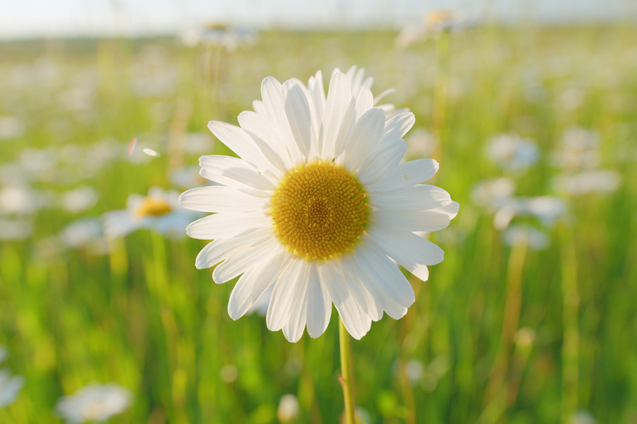 Памятные даты 24 марта