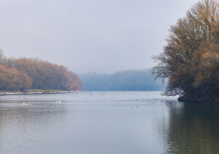 В Молдавии зафиксировали новые признаки загрязнения Днестра из-за Украины