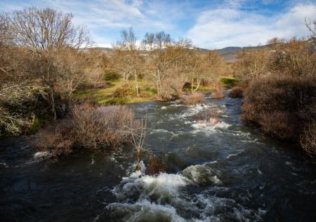 Половодье, паводок и наводнение: 3 главных отличия, которые нужно знать