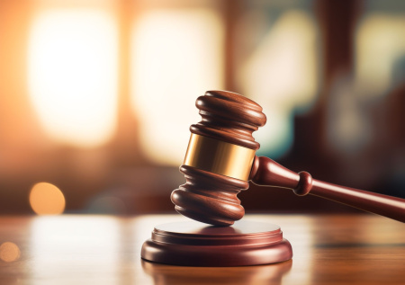 Нижегородские власти будут судиться из-за ремонта парка Горького