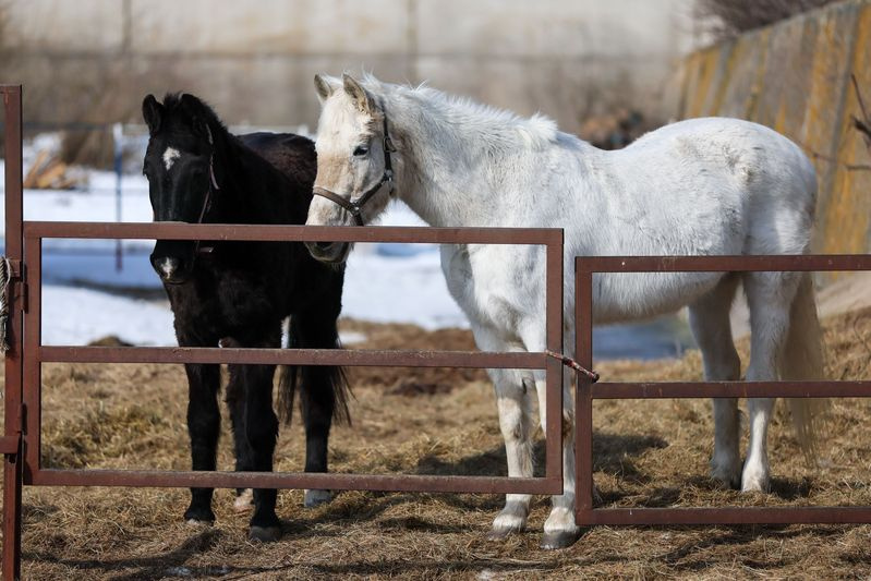 Какой праздник 25 марта в России