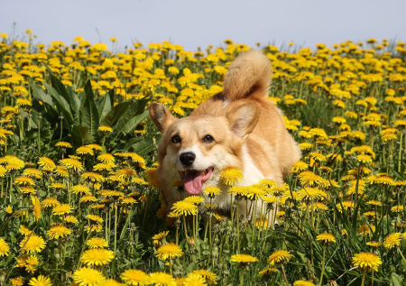 NEWS.ru и «ВКонтакте» проведут совместный конкурс