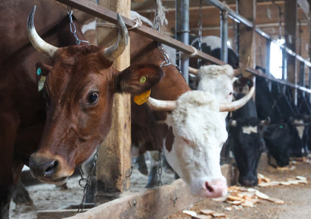 «Созидательная сила»: Путин высоко оценил роль фермеров в развитии России