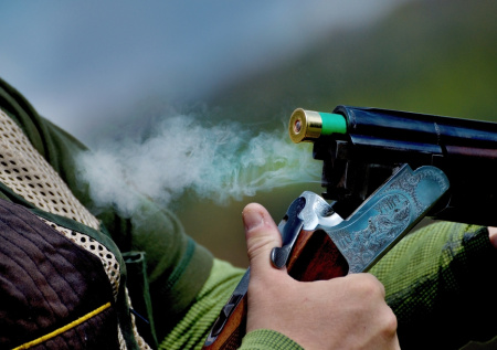 Неизвестный расстрелял собак из дробовика