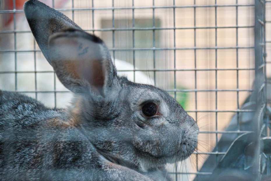 10 запретов на даче в 2026 году: за что выпишут штраф по новым правилам