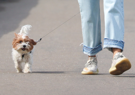 Во «ВКонтакте» стартовал весенний конкурс NEWS.ru
