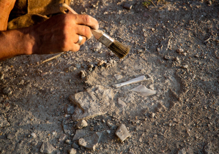 Останки легендарного мушкетера д'Артаньяна нашли в Европе