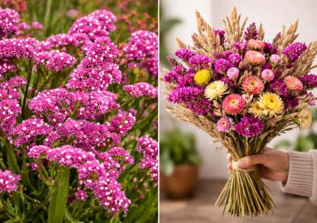 Каждый год выделяю под них уголок: сажаю сухоцветы — красота в саду, а зимой в букетах дома