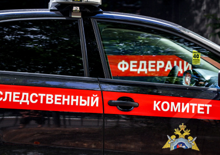 В СК раскрыли число уголовных дел по вторжению ВСУ в Курскую область