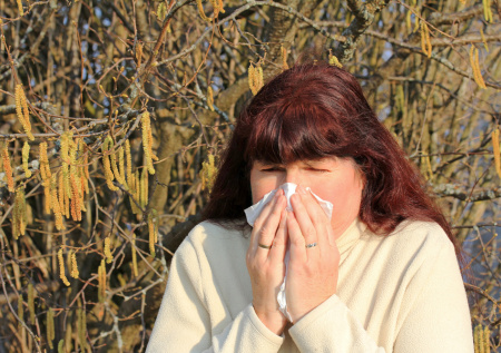 Сезон орешника только начинается: пыльца в Москве сегодня — 28 марта
