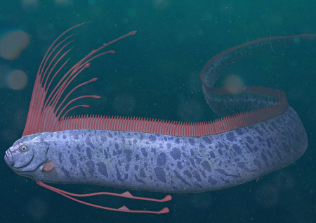 Во Вьетнаме на берег выбросило загадочного «вестника катастроф»