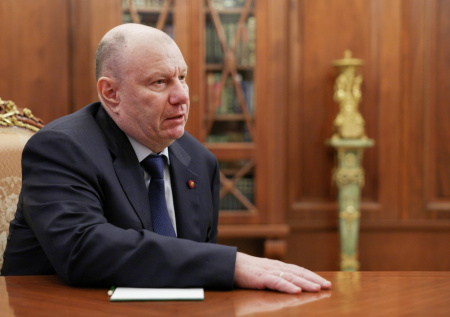 Потанин сравнил экономику России с деревом