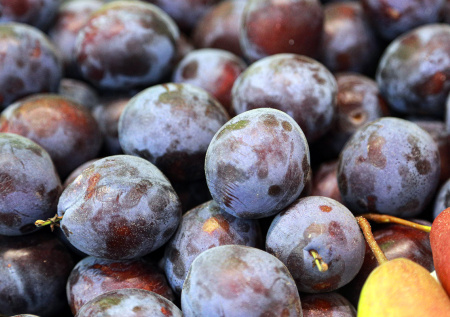 В Петербурге обнаружили крупную партию зараженных фруктов из Чили