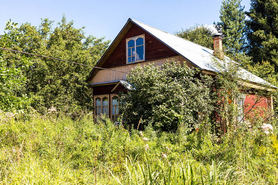 Как обработать сад от вредителей и можно ли заодно избавиться от комаров и клещей