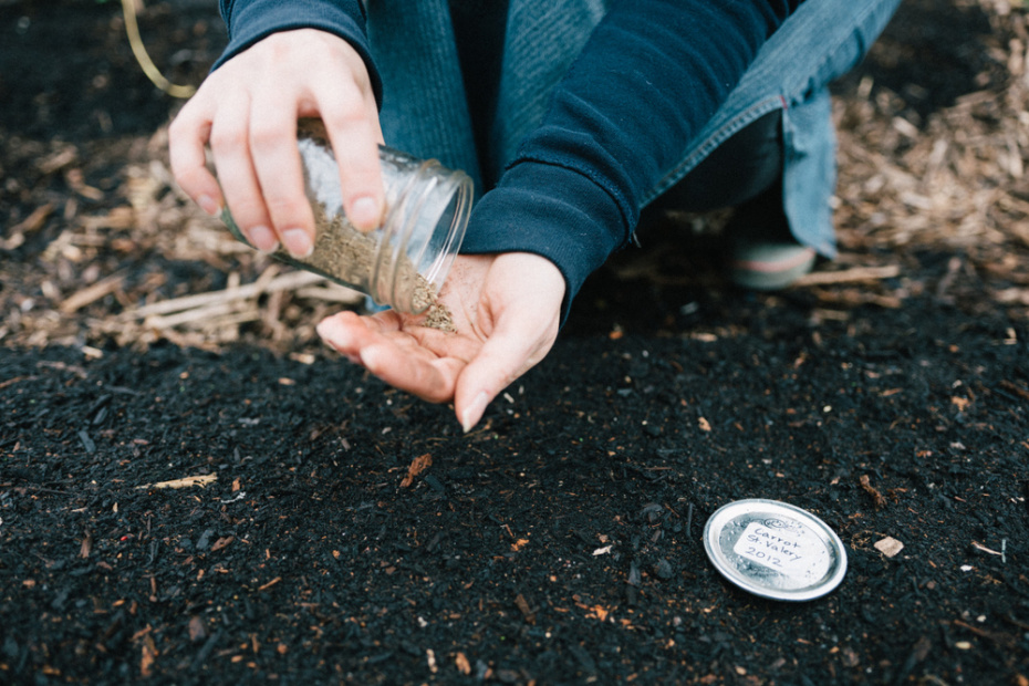 Благоприятные дни для посадок и садовых работ в апреле 2026 года