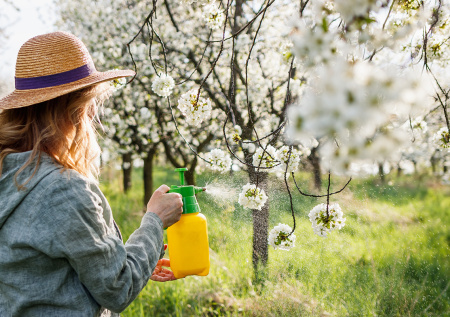 Как обработать сад от вредителей и можно ли заодно избавиться от комаров и клещей