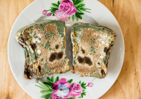 Гастроэнтеролог напомнила об опасности употребления хлеба с плесенью