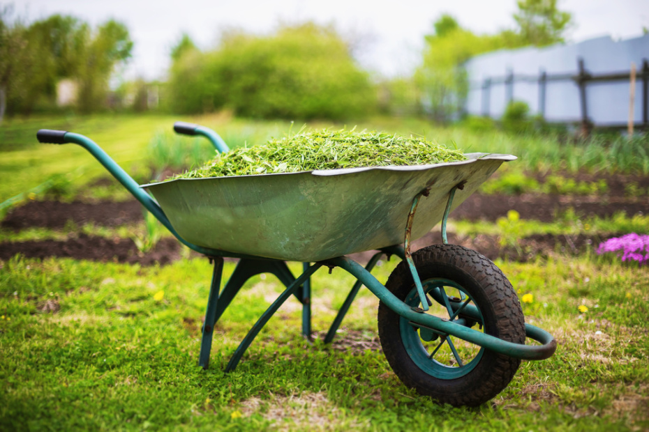 Проплешины, желтизна, мох: реанимируем газон весной — пошаговая инструкция