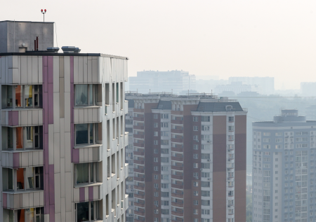 Жителям Петербурга объяснили происхождение черной дымки над городом