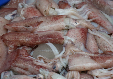 Раскрыто, как выросли поставки в Японию морепродуктов из России