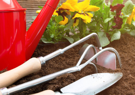 В Ozon рассказали о тенденциях покупок россиян в этом году