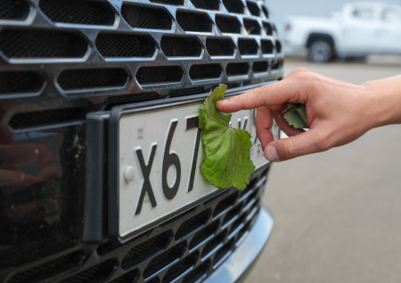 В России резко вырос спрос на автомобильные номера с необычной серией