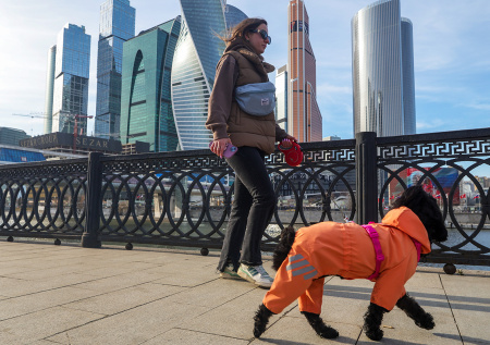 Москвичам пообещали майское тепло