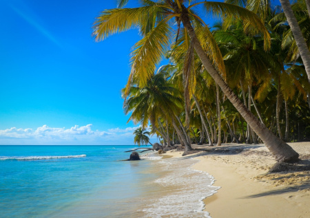 Снимавшаяся обнаженной модель стала почетным консулом Украины в Доминикане