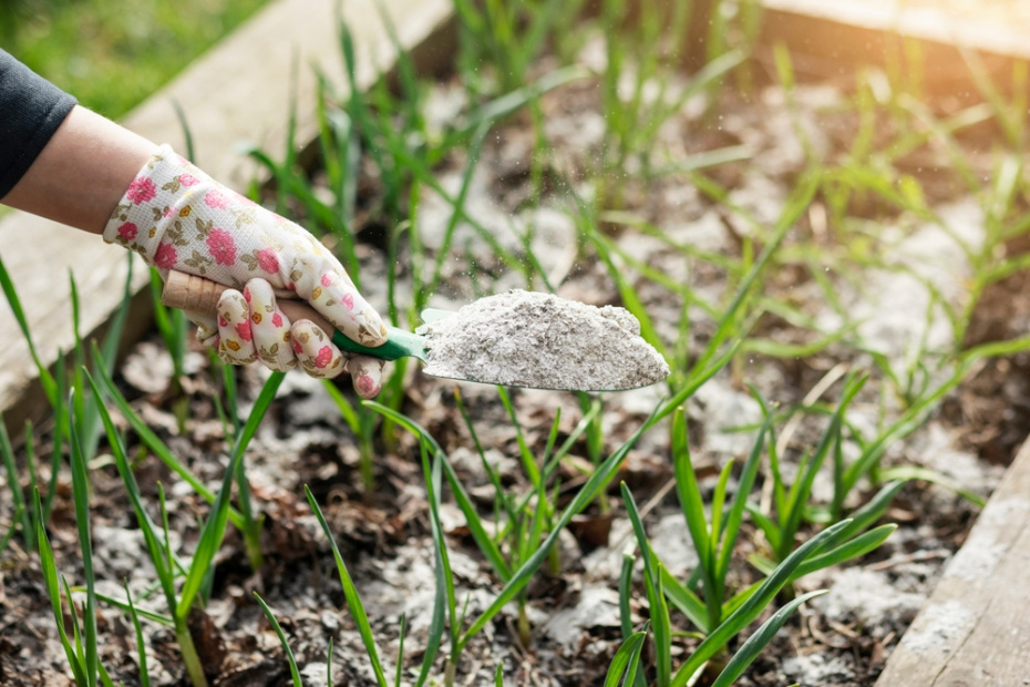 Работы в саду в апреле: 10 важных дел для дачника