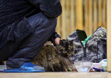 Жителей поврежденных при атаке ВСУ домов в Таганроге на время расселили