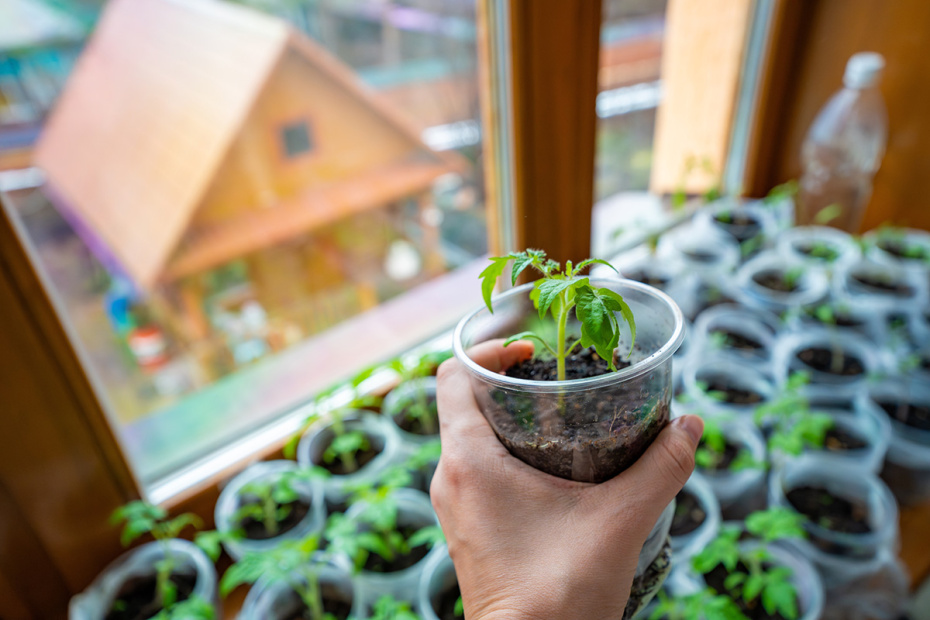 Что можно делать в Великий понедельник: уборка, планирование, пост