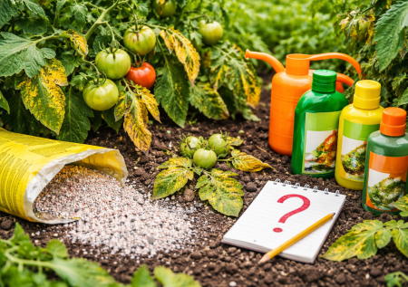 Этим вы убиваете урожай: все об избыточном внесении удобрений и потере плодов