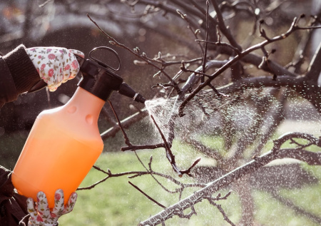 10 дел в саду в апреле: от растений до благоустройства участка