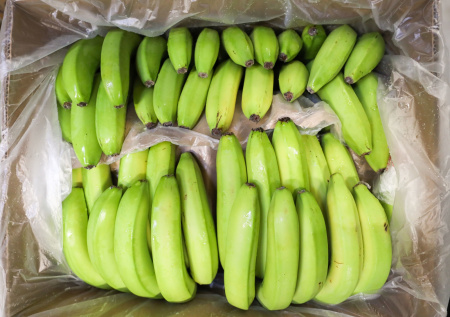 Три контрабандиста попытались провезти «кокаиновые» бананы за $100 млн