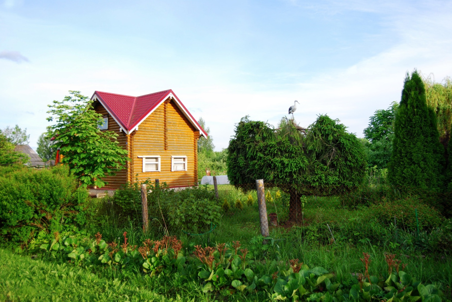 Штрафы на даче в 2026 году: 10 нарушений, за которые можно лишиться денег