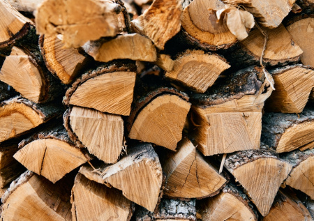 Полиция Бурятии раскрыла кражу дров у студентки