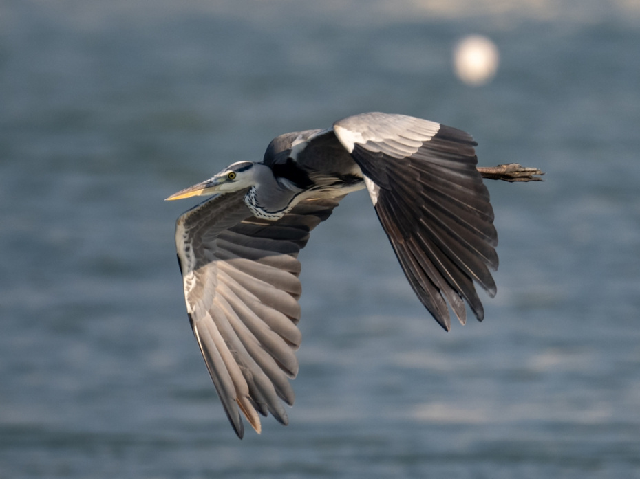 Погодные приметы на Дарью Грязную